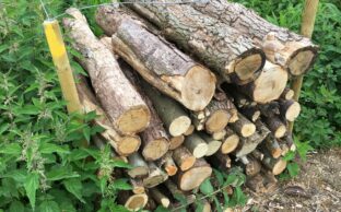 Log pile refugia habitat